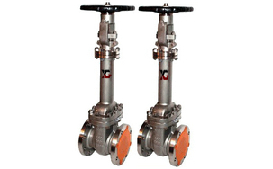 波紋管閘閥/WZ41波紋管閘閥說明書