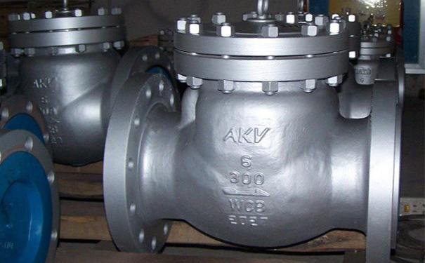 美標(biāo)止回閥H44H/H44W實(shí)物圖2 美標(biāo)止回閥H44H/H44W實(shí)物圖